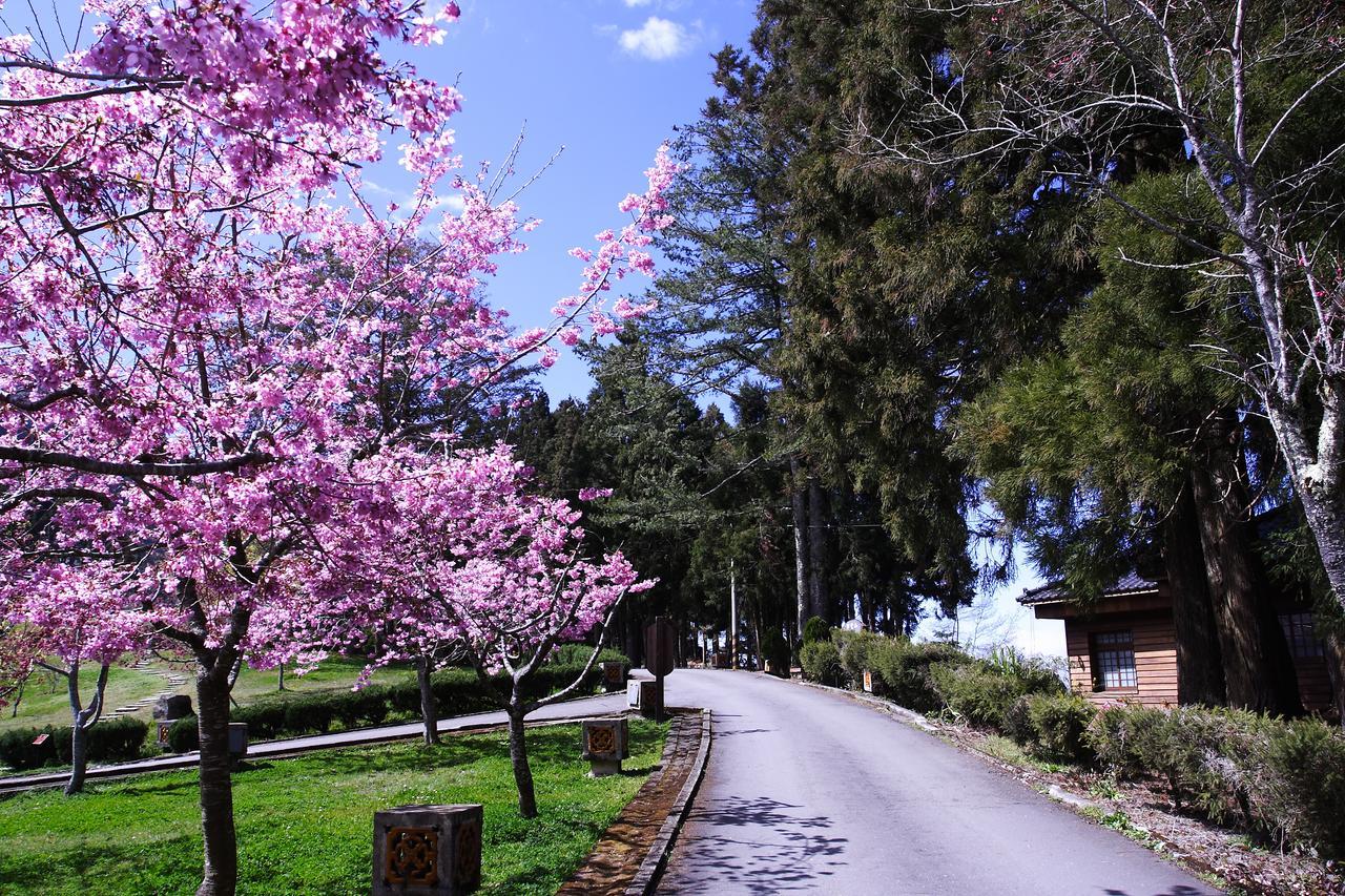 Alishan Youth Activity Center Zhongzheng  Exterior foto